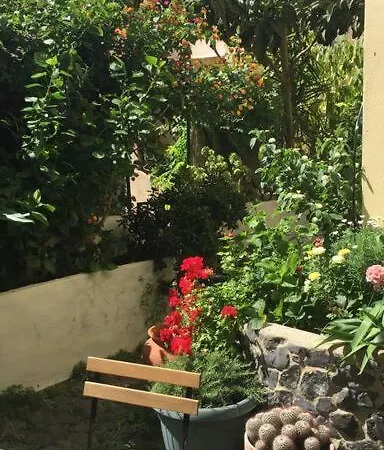 Downtown Garden House Daire